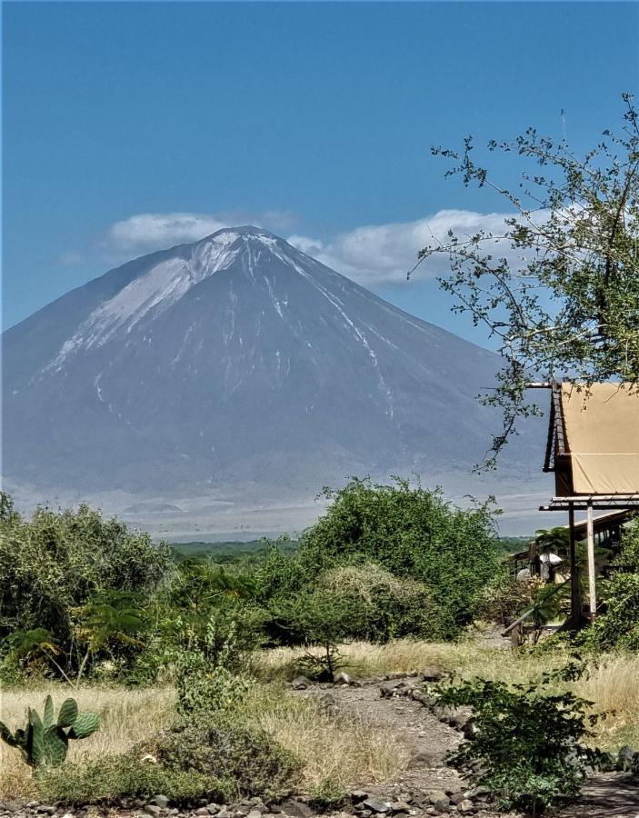 Africa Safari Lake Natron Mtowabaga Dış mekan fotoğraf
