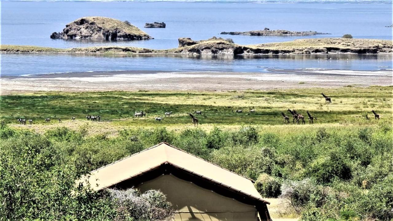 Africa Safari Lake Natron Mtowabaga Dış mekan fotoğraf